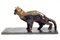 Cat Bronze Sculpture by Augusto Perez 3