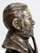 Bronze Bust of Louis Pasteur by E. Drouot, Late 19th Century 18