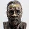 Bronze Bust of Louis Pasteur by E. Drouot, Late 19th Century 5