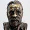 Bronze Bust of Louis Pasteur by E. Drouot, Late 19th Century, Image 5