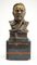 Bronze Bust of Louis Pasteur by E. Drouot, Late 19th Century 39