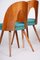 Czech Blue and Brown Ash Chairs by Antonín Šuman, 1950s, Set of 4 3