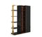 Apotheosis Bookcase from BDV Paris Design furnitures 3