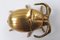 Art Deco Brass Beetle Ashtray, 1930s 3