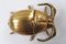 Art Deco Brass Beetle Ashtray, 1930s, Image 3