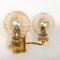 Gold-Plated Glass Light Fixtures in the Style of Brotto, Set of 3 13