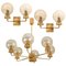 Gold-Plated Glass Light Fixtures in the Style of Brotto, Set of 3 1