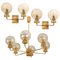 Gold-Plated Glass Light Fixtures in the Style of Brotto, Set of 3, Immagine 1