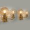 Gold-Plated Glass Light Fixtures in the Style of Brotto, Set of 3 4