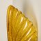 Italian Amber Murano Glass Seashell Sconces, 1960, Set of 2 6