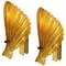 Italian Amber Murano Glass Seashell Sconces, 1960, Set of 2 1