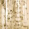 Glass and Brass Chandelier from Doria, 1960, Immagine 7