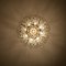 Glass and Brass Chandelier from Doria, 1960, Image 18