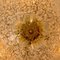 Italian Gold & Brown Murano Glass Sconce by Barovier & Toso 8