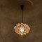 Amber Bubble Glass Pendant Lights by Helena Tynell for Cor, 1960s, Set of 6 14