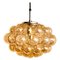 Amber Bubble Glass Pendant Lights by Helena Tynell for Cor, 1960s, Set of 6 3