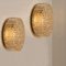 Glass & Brass Wall Lights by Motoko Isshi for Staff, Image 4