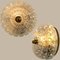 Bubble Wall Sconce by Limburg, 1960s 20