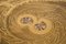 Tavolino da caffè in ottone inciso con intarsio in ammonite di Georges Mathias, Immagine 3