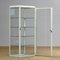 Vintage Iron and Glass Medical Cabinet, 1950s, Immagine 4