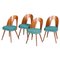 Czech Blue and Brown Ash Chairs by Antonín Šuman, 1950s, Set of 4 1