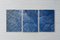 Macro Leaf Triptych in Blue Tones, 2021 8