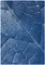Macro Leaf Triptych in Blue Tones, 2021, Image 5