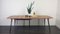 Extendable Dining Table with Black Legs by Lucian Ercolani for Ercol, 1960s 21