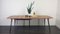 Extendable Dining Table with Black Legs by Lucian Ercolani for Ercol, 1960s, Immagine 21