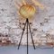 Lámpara de pie Tripod Mela de roble de Gofurnit, Imagen 1