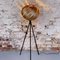 Mela Tripod Floor Lamp in European Walnut by Gofurnit 1