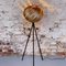 Mela Tripod Floor Lamp in European Walnut by Gofurnit, Image 1