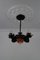 Wrought Iron and Glass Water Lily Chandelier 20