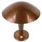 Bauhaus Copper Table Lamp, 1930s, Imagen 1