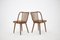Beech Dining Chairs by Antonin Suman, 1960s, Set of 4 8