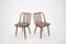 Beech Dining Chairs by Antonin Suman, 1960s, Set of 4, Image 6
