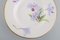 Antique Royal Copenhagen Model 72/10515 Deep Plates in Porcelain with Hand-Painted Flowers, Set of 4 4