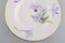 Antique Royal Copenhagen Model 72/10515 Deep Plates in Porcelain with Hand-Painted Flowers, Set of 4, Image 4