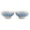 Lotus Bowls in Porcelain by Bjorn Wiinblad for Rosenthal, 1980s, Set of 2 1