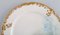 Antique Pirkenhammer Porcelain Dinner Plates with Hand-Painted Fish, Set of 12 7