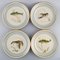 Royal Copenhagen Porcelain Model 1158/9581 Dinner Plates with Hand-Painted Fish Motifs, Set of 12 5