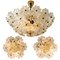 Glass and Brass Floral Wall Lights from Ernst Palme, 1970s, Set of 2, Imagen 18