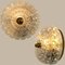 Bubble Flush Mounts/Wall Sconces from Limburg, 1960s 20