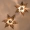 Willy Daro Style Brass Flowers Wall Light 3