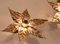 Willy Daro Style Brass Flowers Wall Light 7