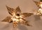 Willy Daro Style Brass Flowers Wall Light, Image 7