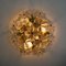 Glass and Brass Floral Wall Light from Ernst Palme, 1970s 15