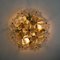 Glass and Brass Floral Wall Light from Ernst Palme, 1970s, Imagen 15