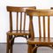 Baumann Bentwood Model 3 Dining Chair by Joamin Baumann, 1950s, Set of 3 2