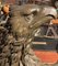 Large Empire Period Carved Eagle in Oak and Beechwood, France 7